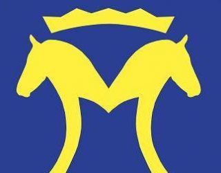 écuries de molion logo